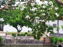 -苏州碑刻博物馆