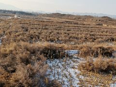 -中华三祖圣地黄帝城遗址文化旅游区