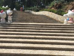 -大塘金香草谷