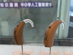 -自然之声助听器·呼吸机(公园路店)