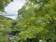 -三千院