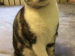 -平行世界·猫咖(首经贸店)
