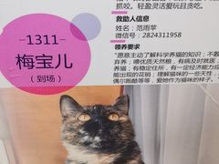 -北京清河万象汇
