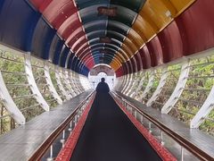 -墨江北回归线标志园