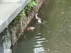 -浙江省博物馆(孤山馆区)