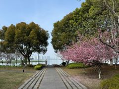 -苏州独墅湖世尊酒店