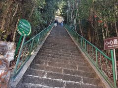 -云南屏边大围山国家公园