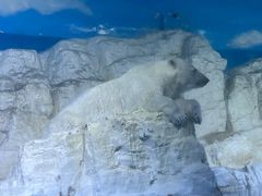 -大连老虎滩海洋公园