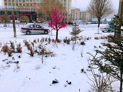 -翠云山银河滑雪场