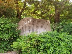 -杭州半山国家森林公园