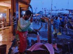 -尼甘布海鲜市场