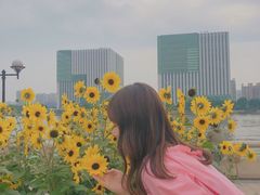 -二沙岛艺术公园