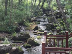 -汤旺河林海奇石景区