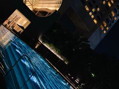 -新加坡丽思卡尔顿美年酒店