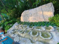 -成都市活水公园