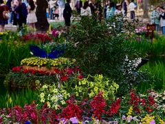 -上海共青森林公园