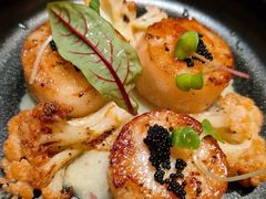 -森Some Fusion(荔湾店)