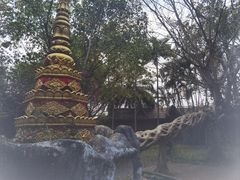 -独树成林