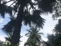 -东芭乐园