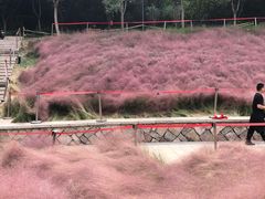 -牛岗山公园