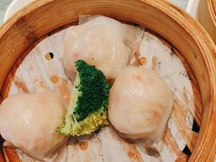 -新雅粤菜馆(南京东路店)