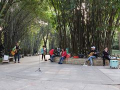 -晓港公园