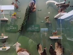 -国家自然博物馆