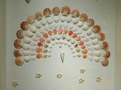 -青岛贝壳博物馆