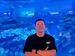 -迪拜水族馆及水下动物园