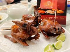 非遗红烧乳鸽-侨美·唐荔园·40年地道粤菜