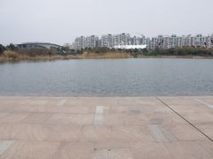 -新江湾城公园