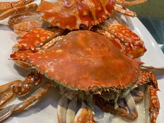 -老字号蛇口德记烧腊饭店·海鲜加工