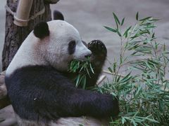 -杭州动物园
