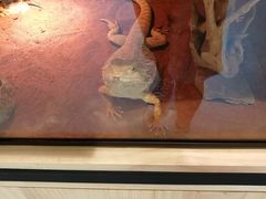 -米纸越南小馆(金鹰世界店)