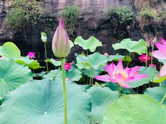 -广州莲花山旅游区