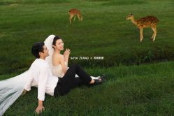 点击看大图 -苏雅影像蒙古婚纱摄影工作室