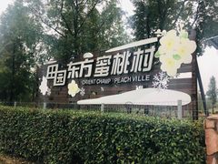 -田园东方蜜桃村的田野营地