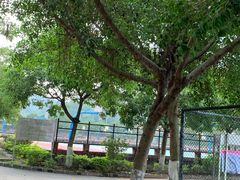 -广东外语外贸大学(白云山校区)