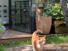 -厦门良筑精品酒店(厦门中山路店)