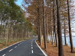 -明珠湖天鹅苑·农家菜馆