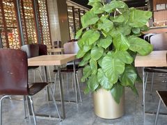 -首都图书馆-咖啡厅