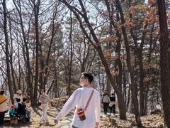 -沈阳辉山风景区