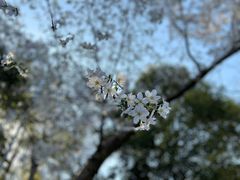 -西湖天地