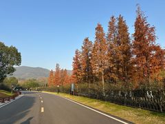 -习家池