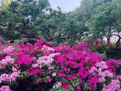 -中山公园