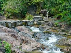 -广州白江湖森林公园