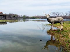 -溱湖国家湿地公园