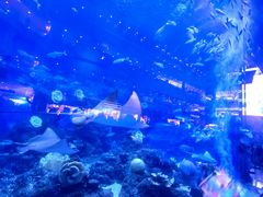 -成都浩海立方海洋公园