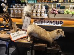 -杂咖zacup(领展中心城店)