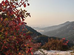 -佛慧山